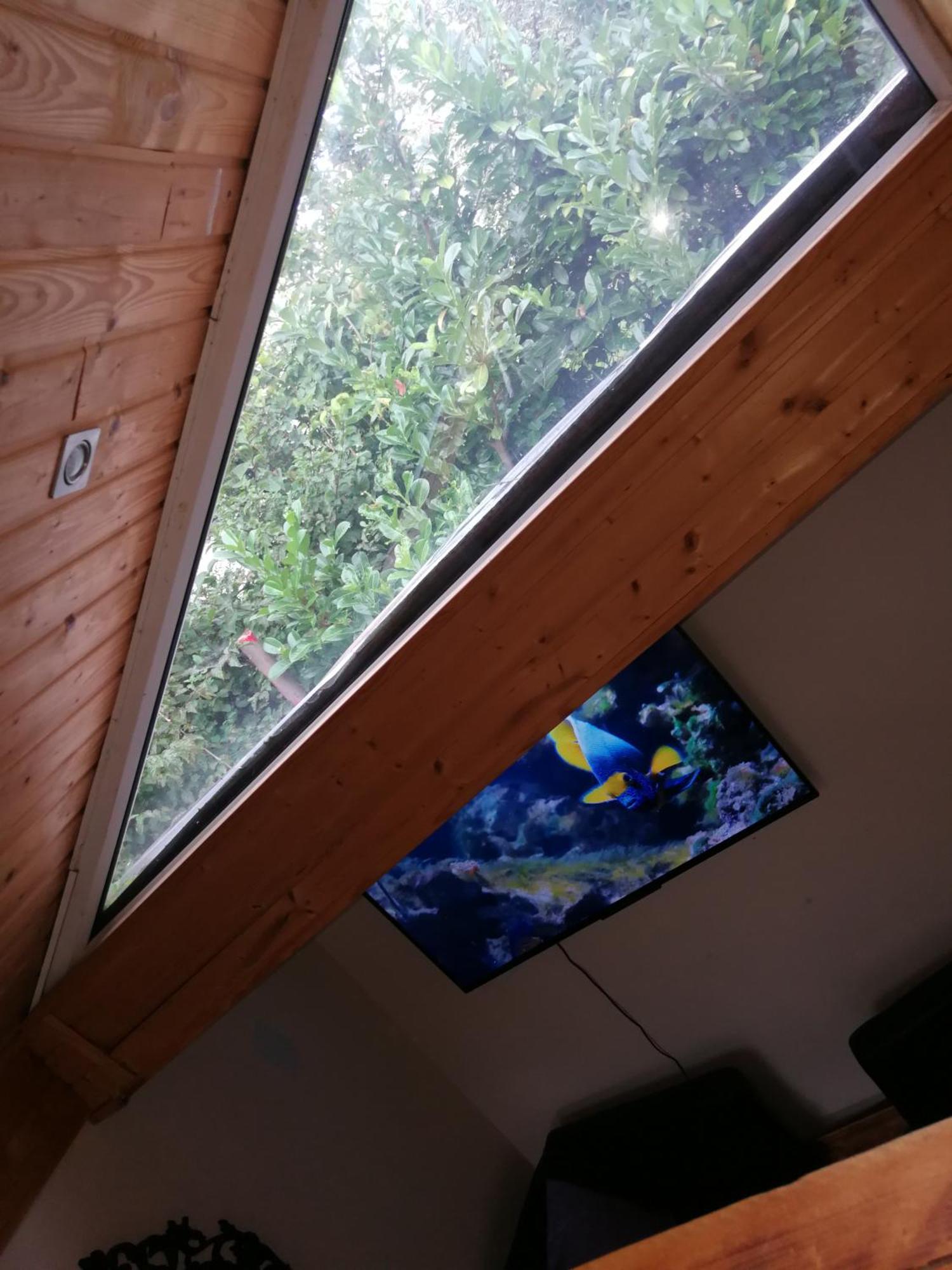 Wohlfuehloase - Zimmer, Appartment - Im Herzen Starnbergs Oda fotoğraf